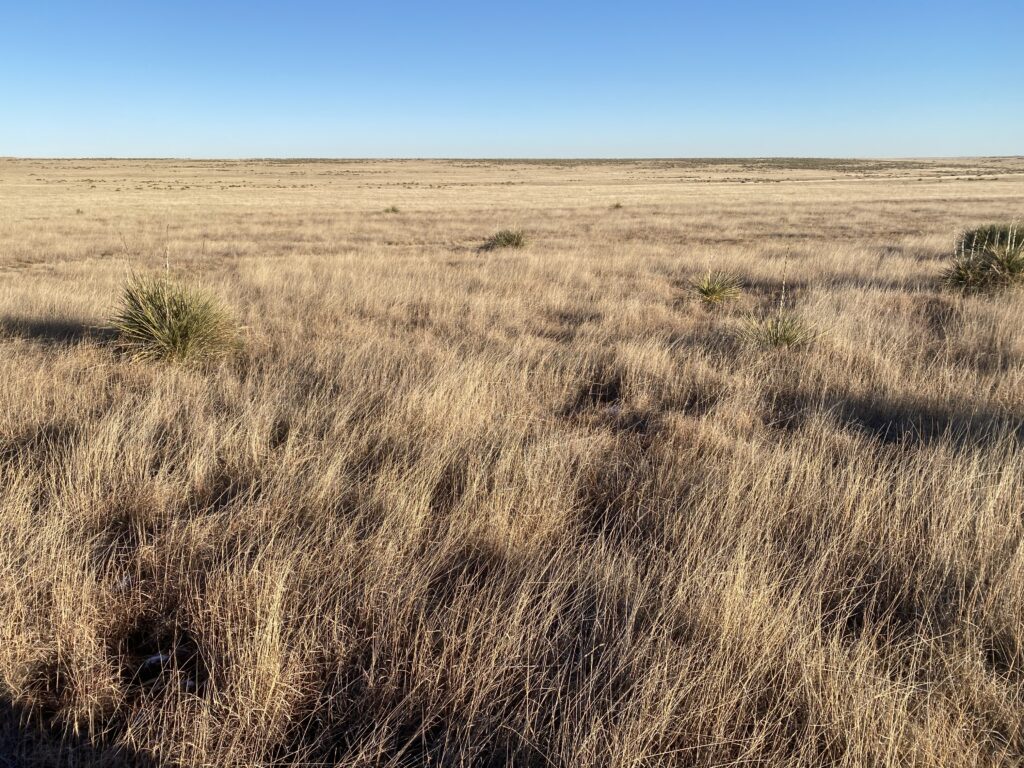 kansas1